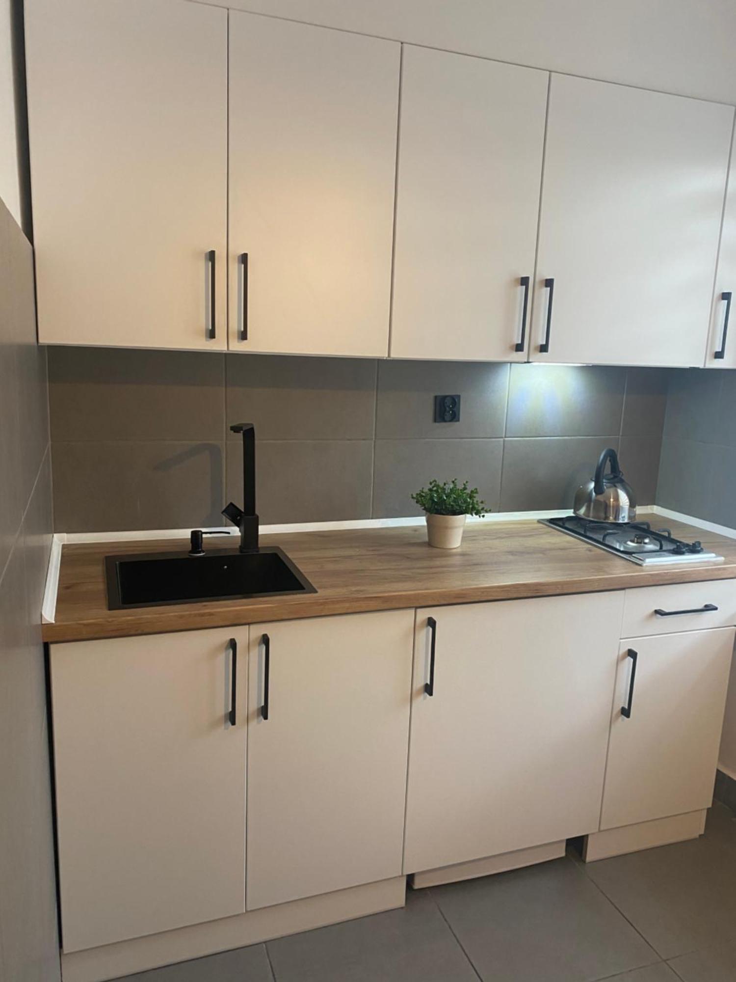 Apartamenty Sloneczna Chata Ζακοπάνε Εξωτερικό φωτογραφία